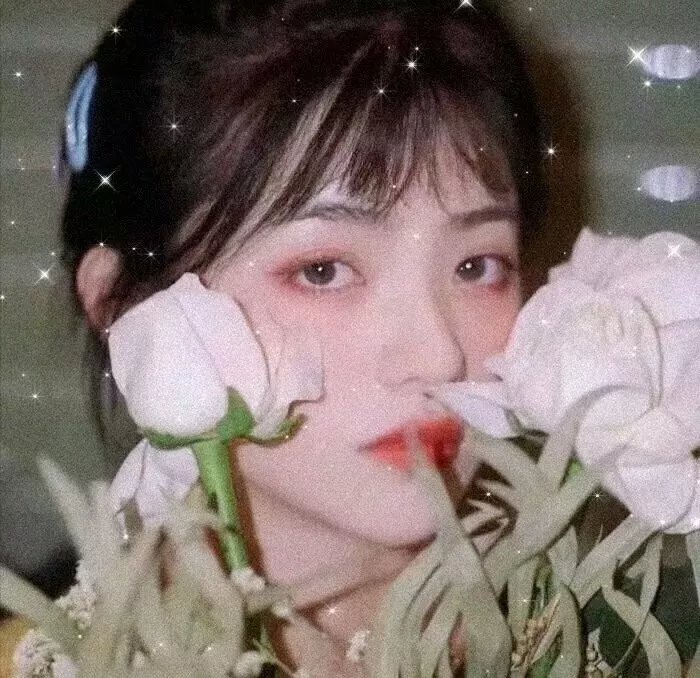 每天都在征服生活